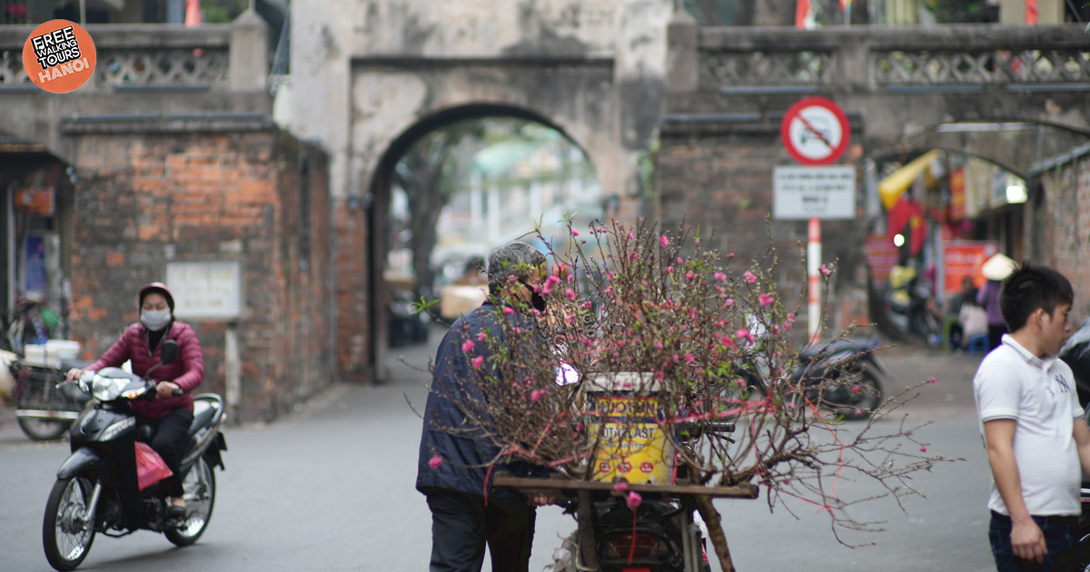 Elderly Vietnamese man selling hot pink peach blossoms from a bicycle for Tet decorations.